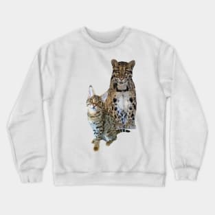 felines Crewneck Sweatshirt